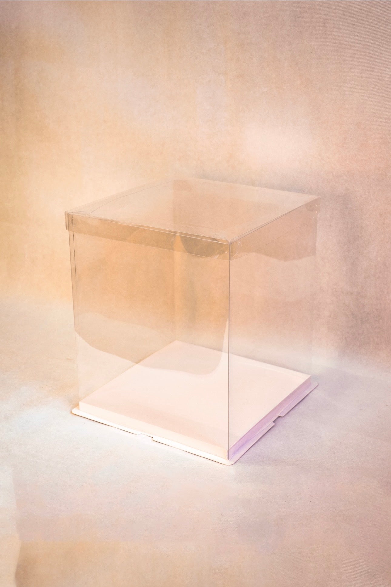 Standard Display Box (Clear)