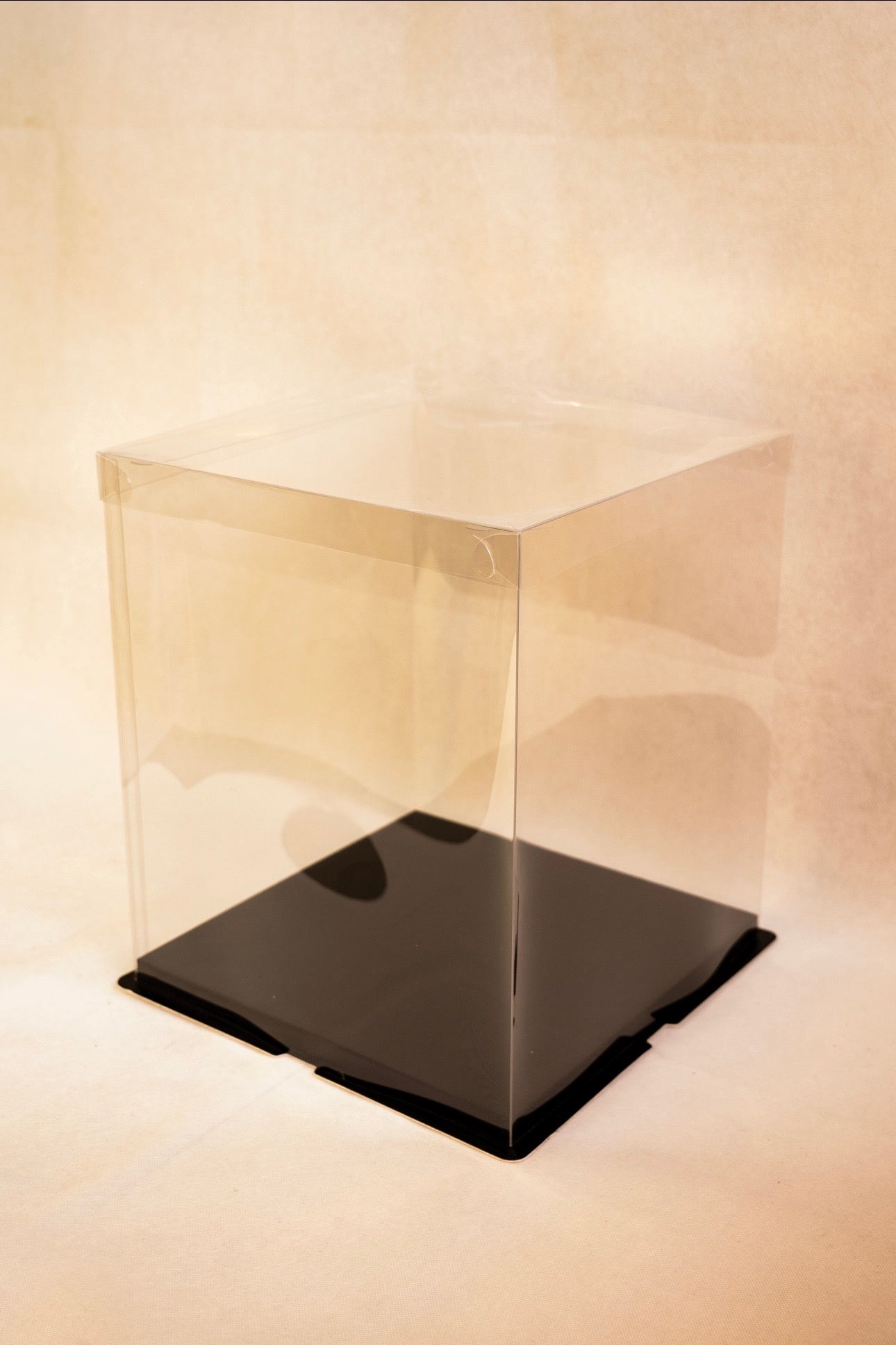 Standard Display Box (Clear)