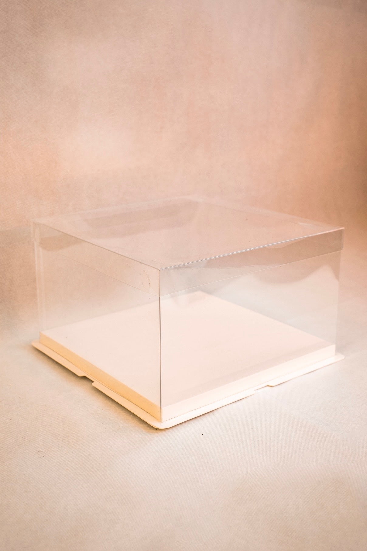 Standard Display Box (Clear)