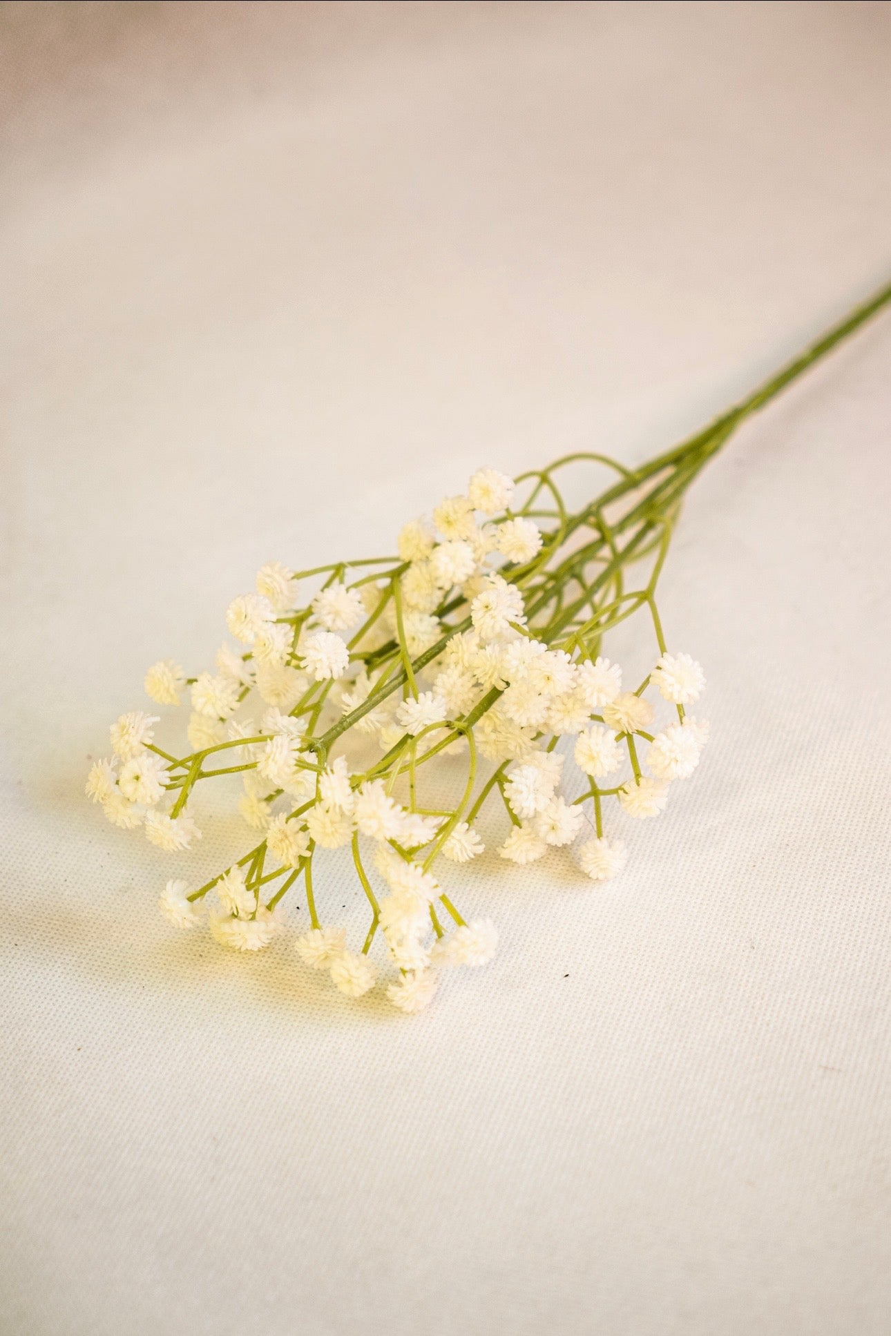 Babys Breath Flower
