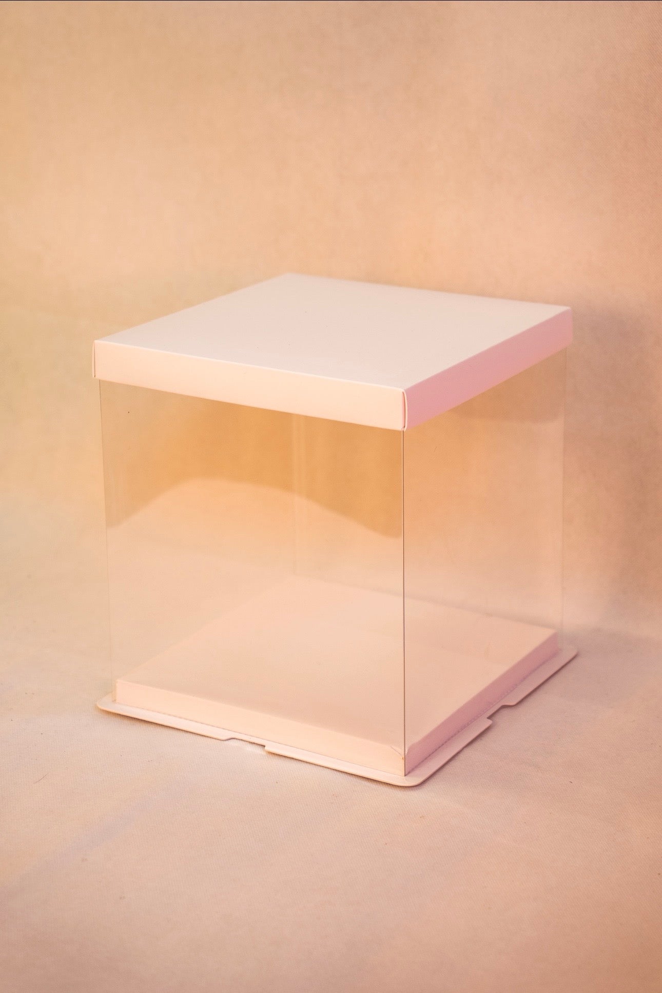 Standard Display Box (White)