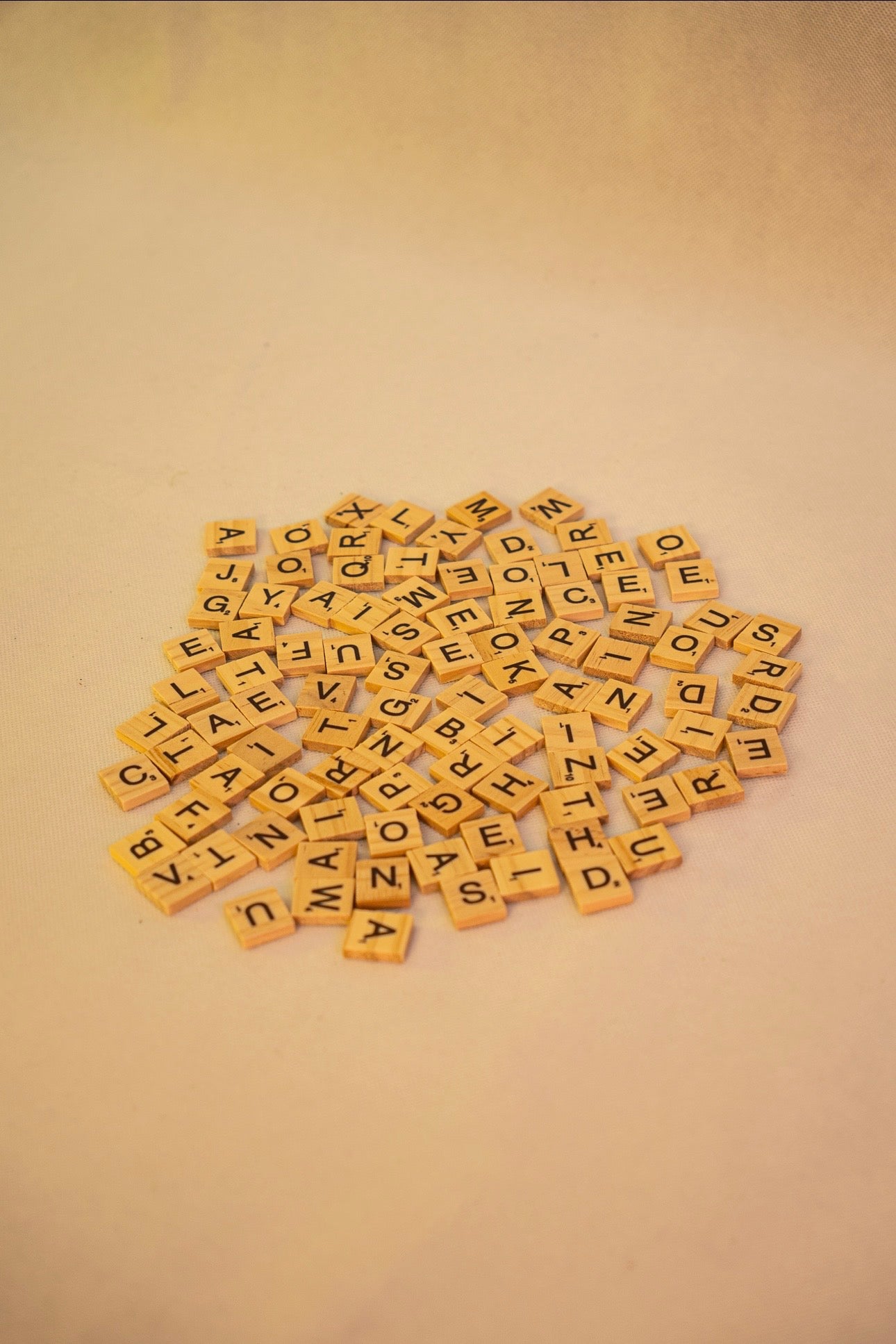 Wooden Letters (100 Pieces)