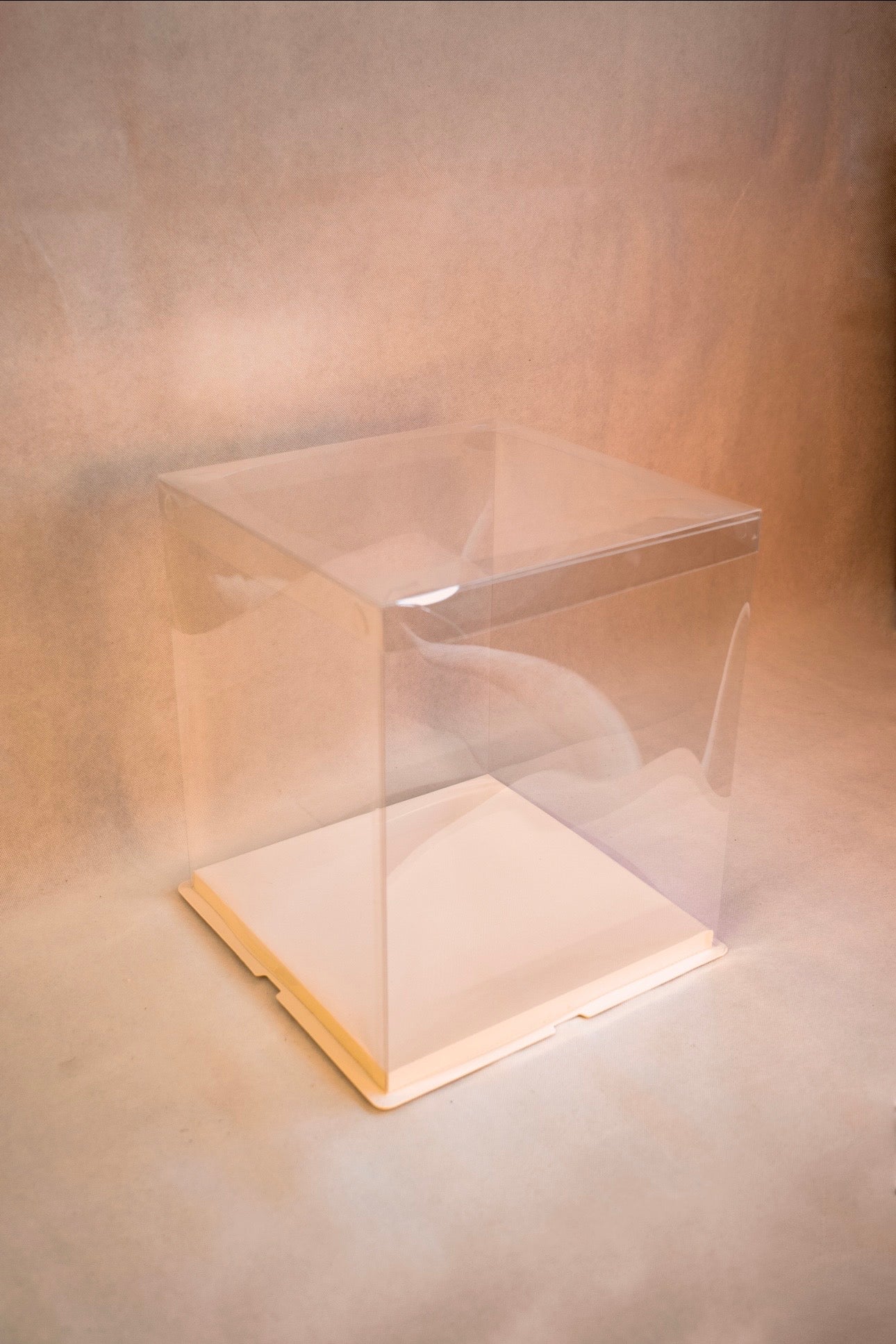 Standard Display Box (Clear)