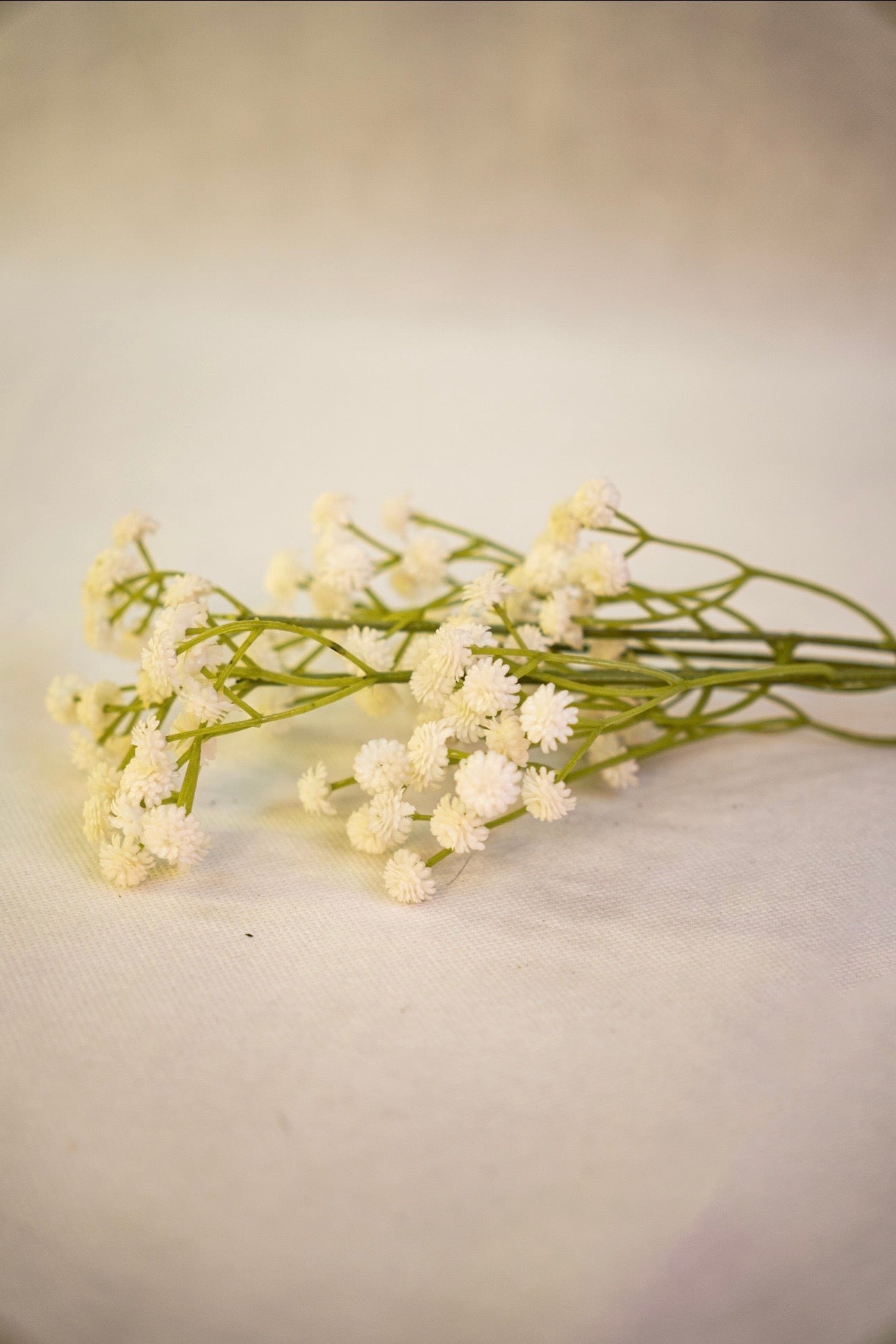 Babys Breath Flower