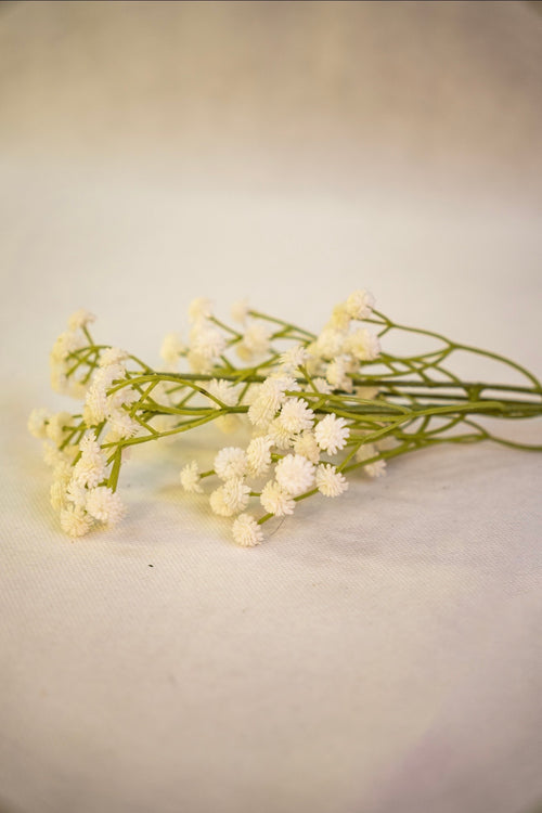 Babys Breath Flower