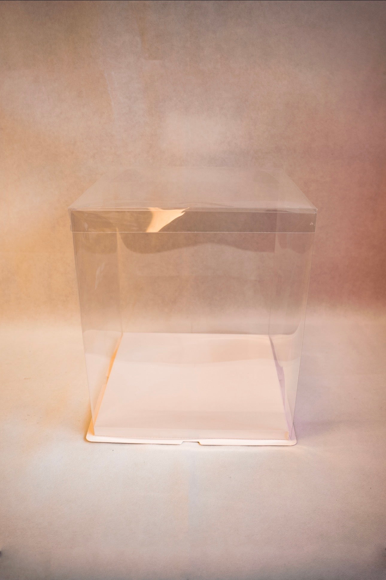 Standard Display Box (Clear)