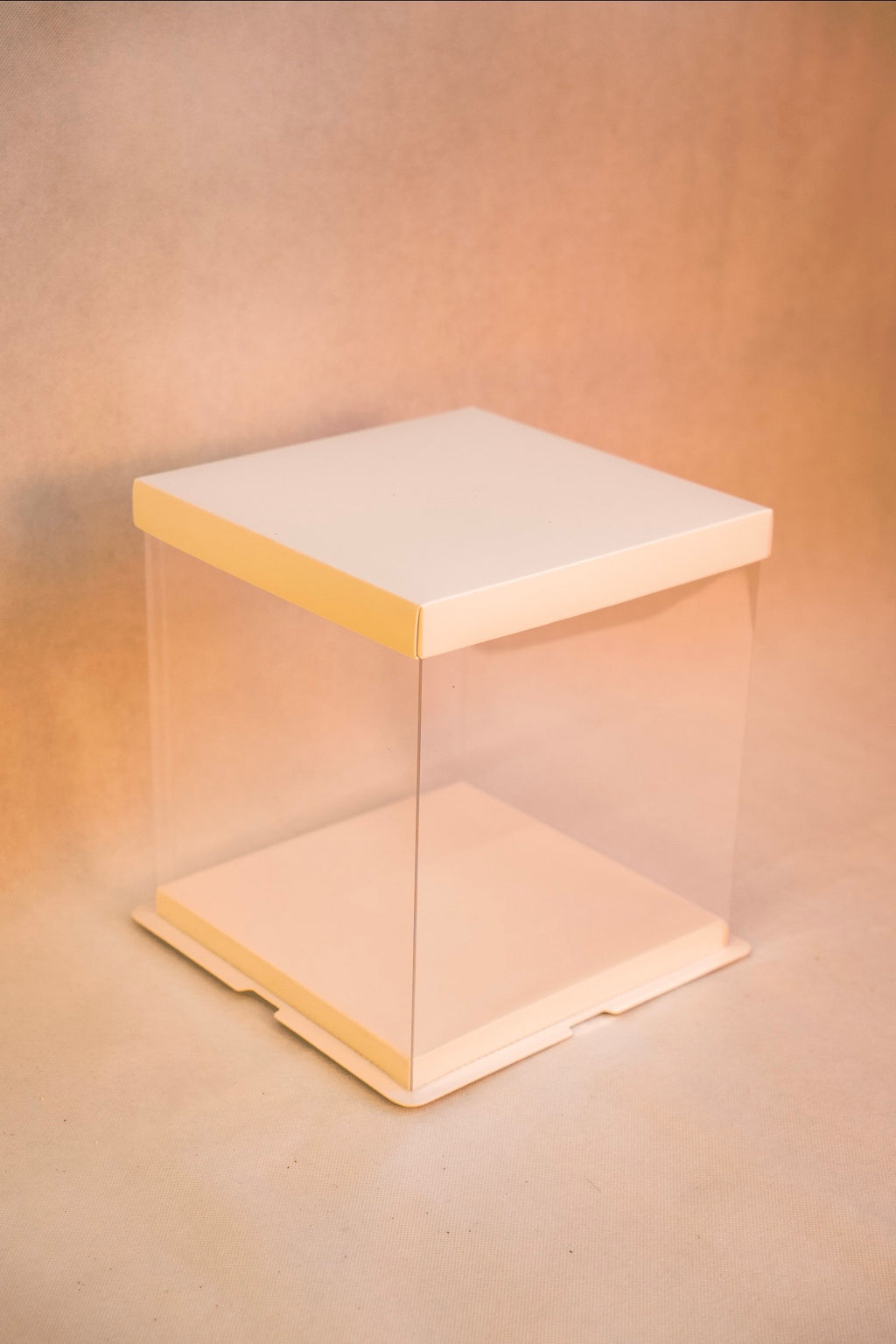 Standard Display Box (White)