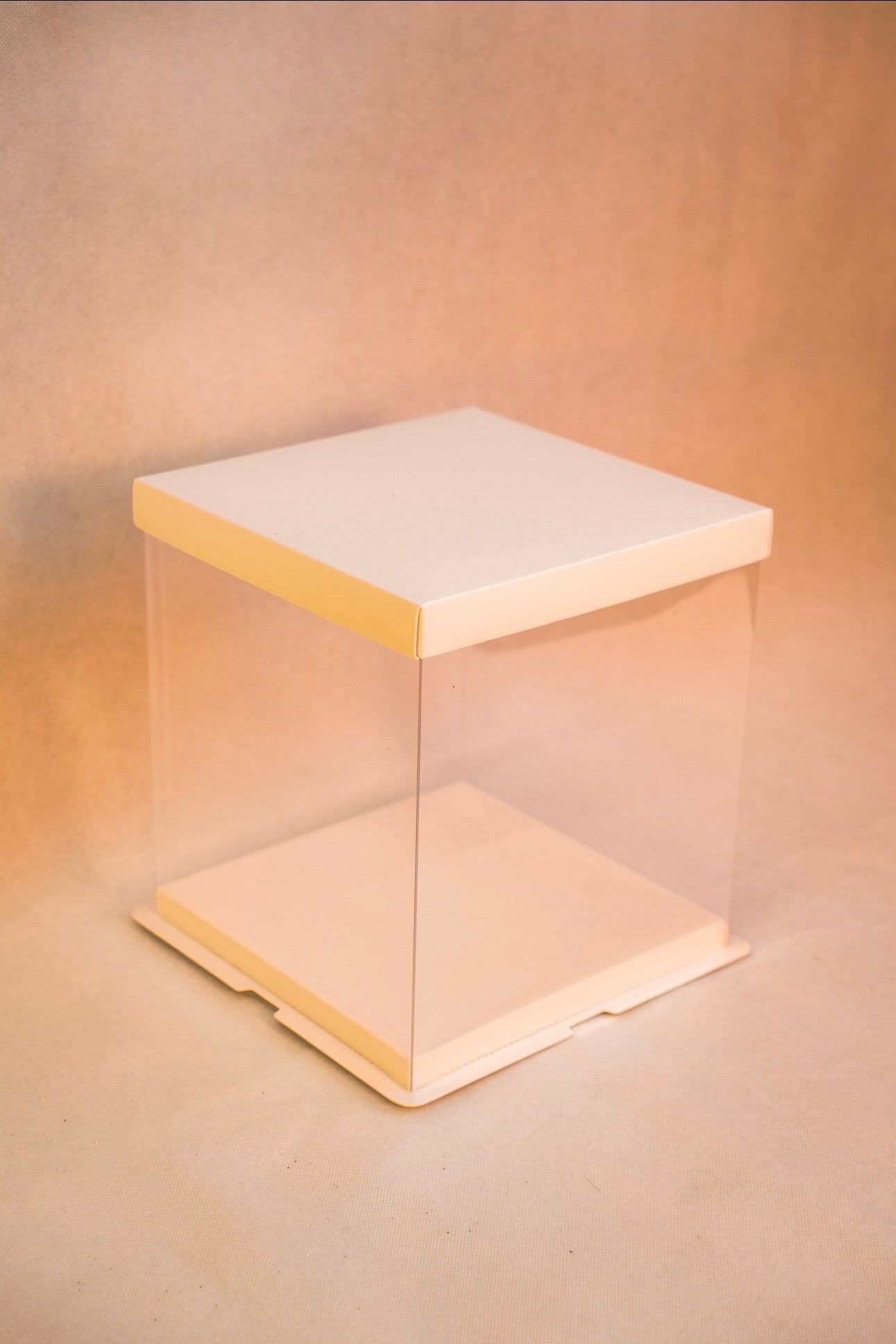 Standard Display Box (White)