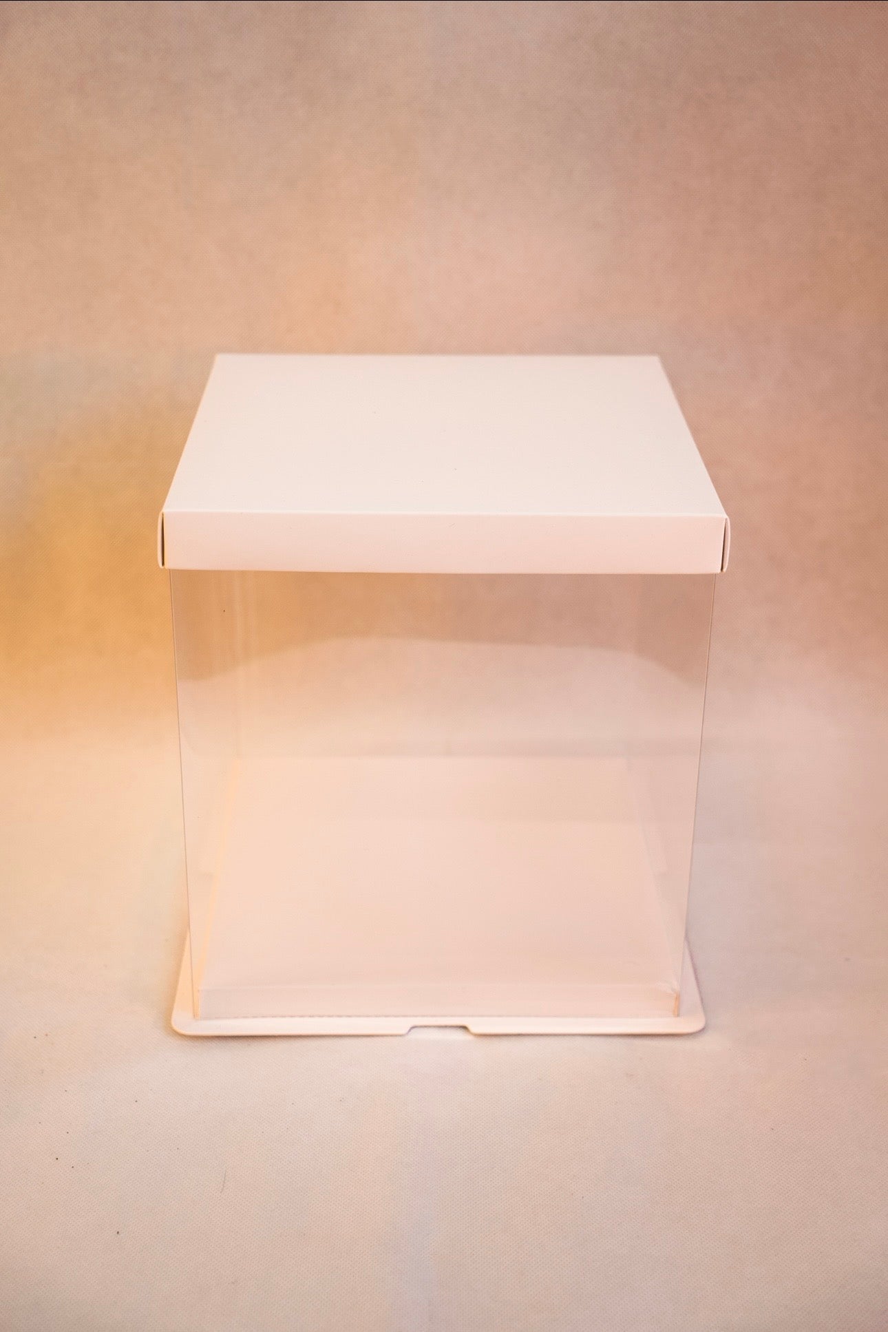 Standard Display Box (White)