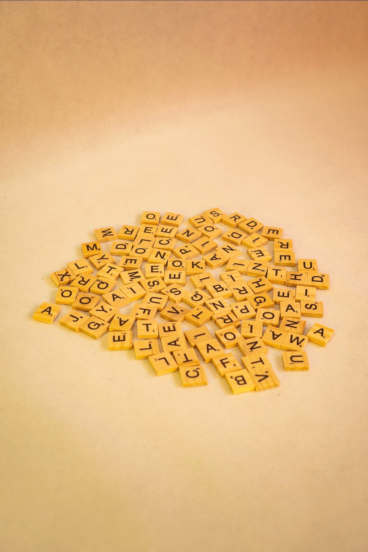 Wooden Letters (100 Pieces)