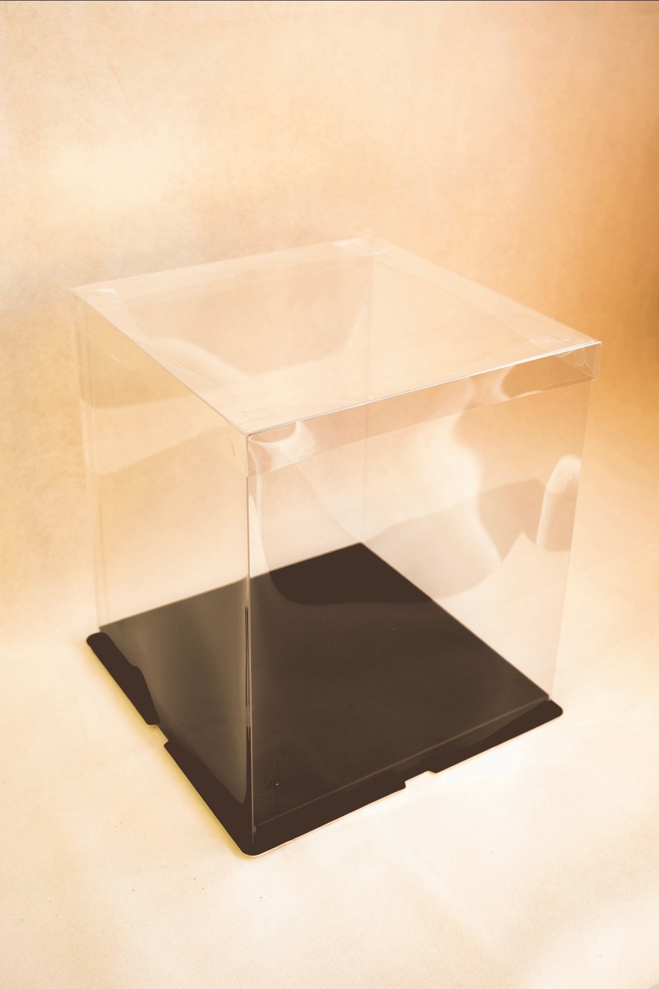 Standard Display Box (Clear)