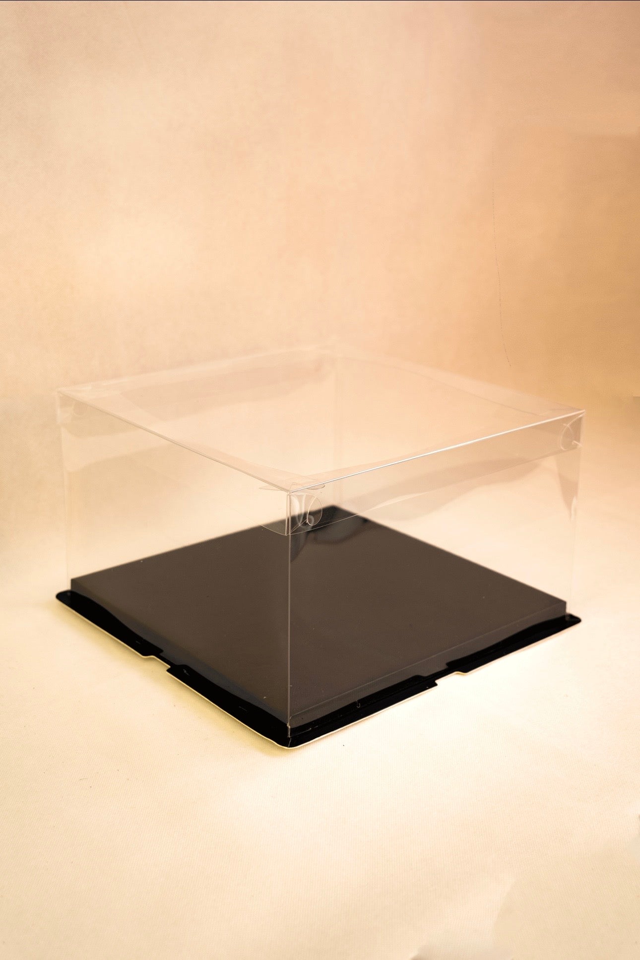 Standard Display Box (Clear)