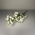 Babys Breath Flower