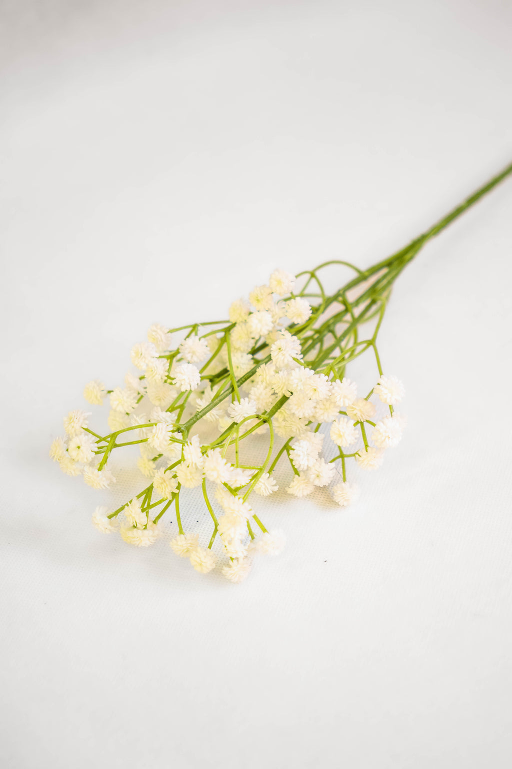 Babys Breath Flower