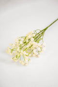Babys Breath Flower