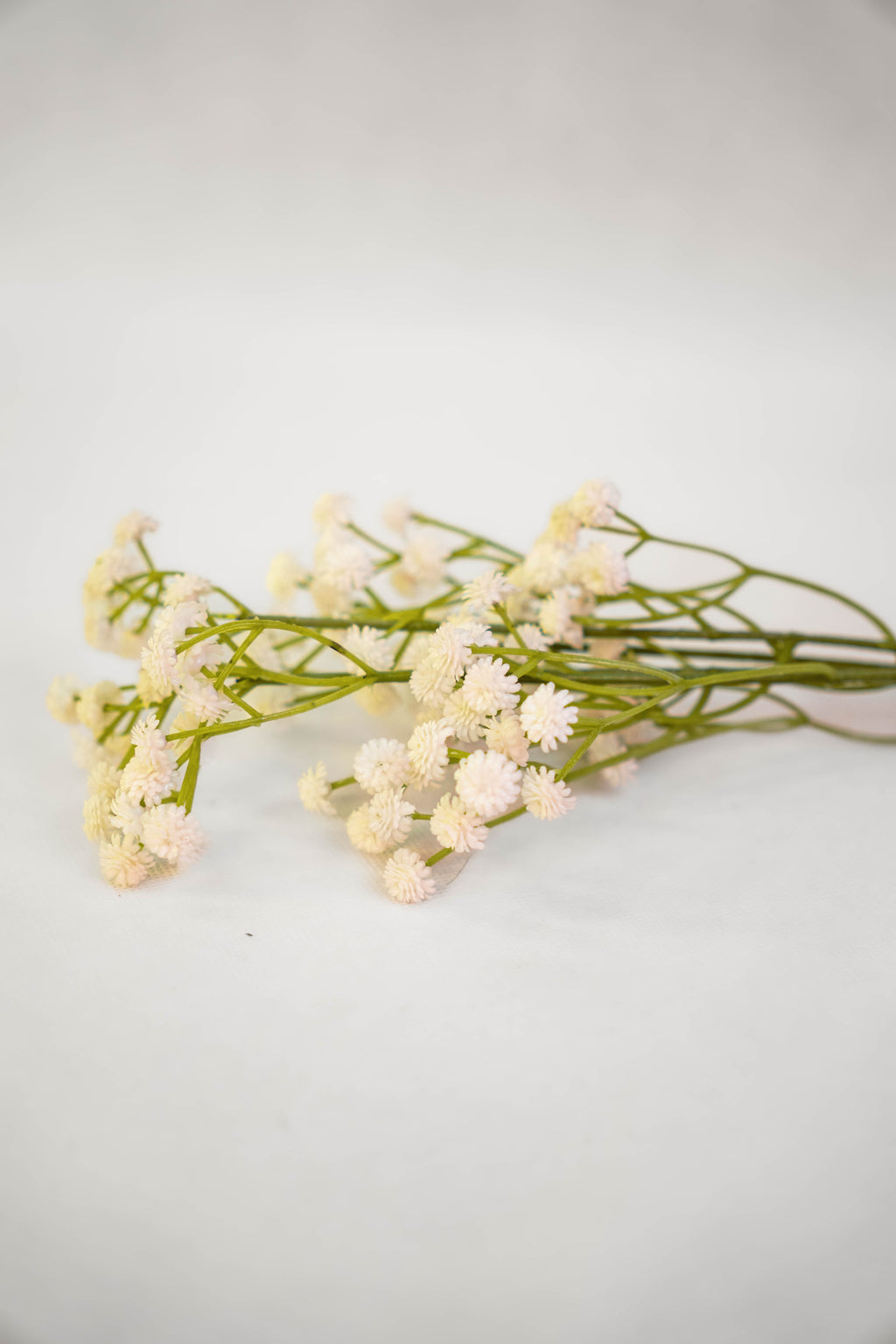 Babys Breath Flower