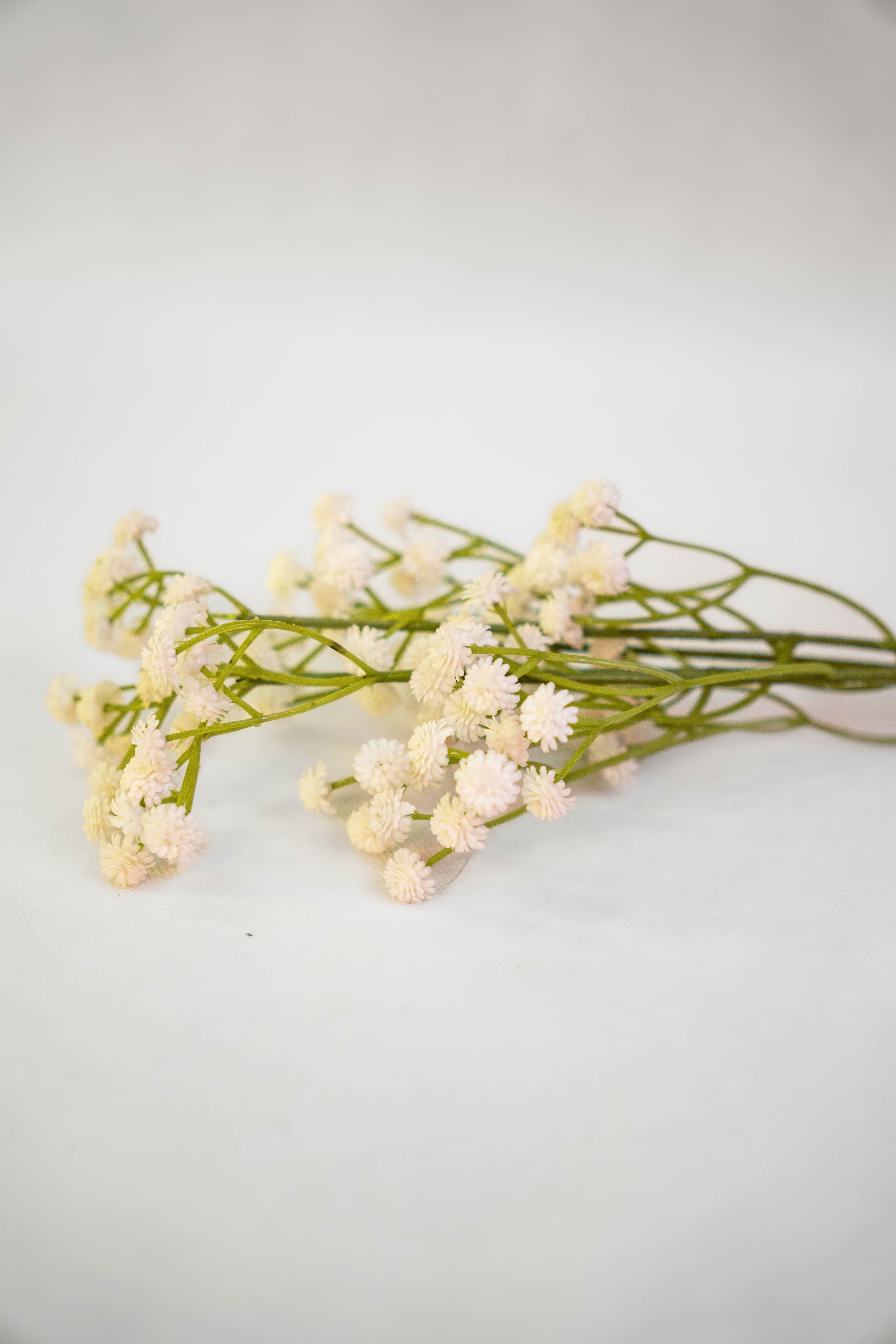 Babys Breath Flower