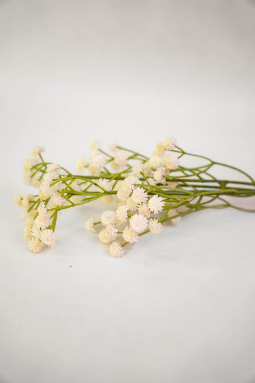 Babys Breath Flower