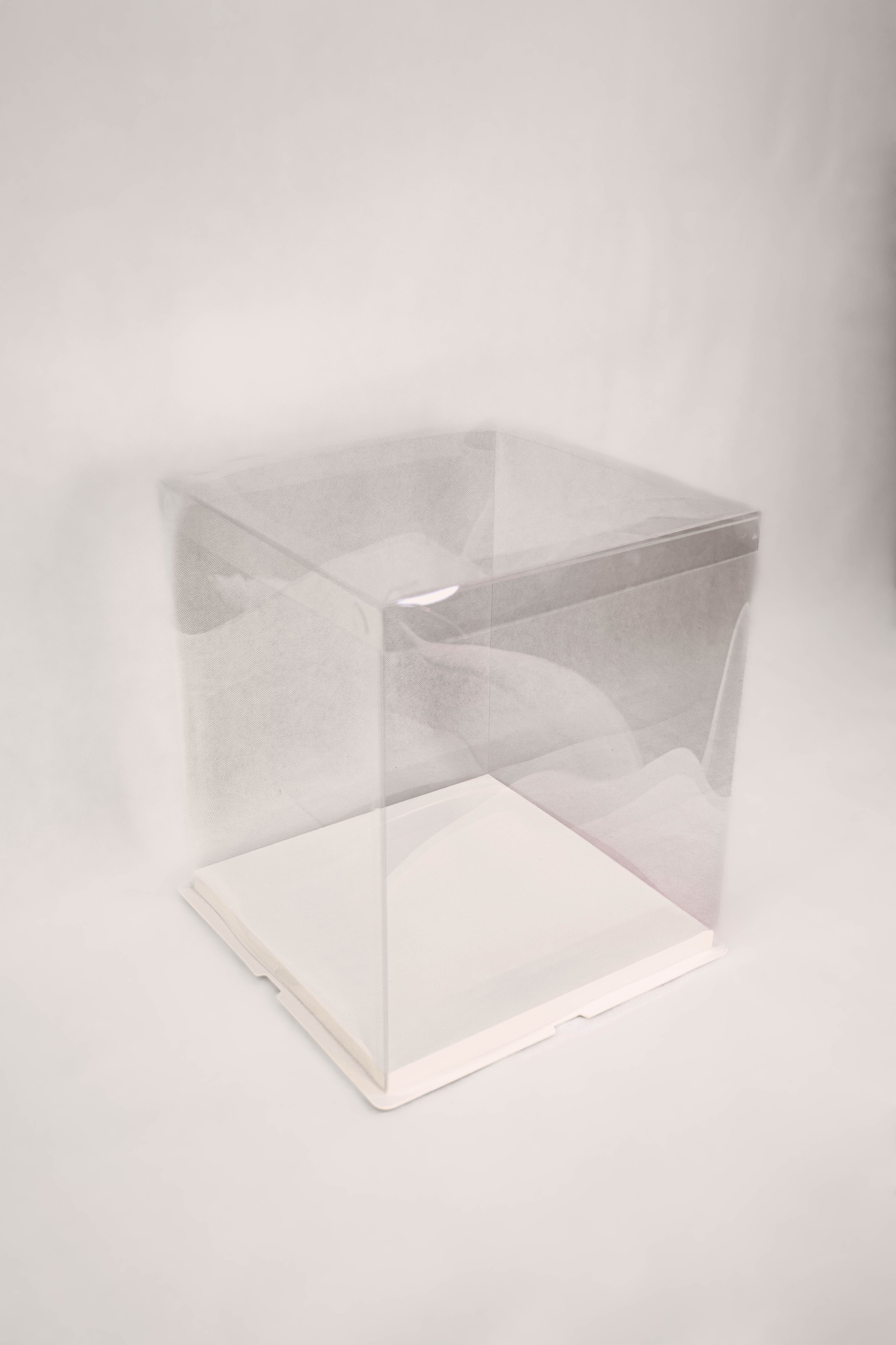 Standard Display Box (Clear)