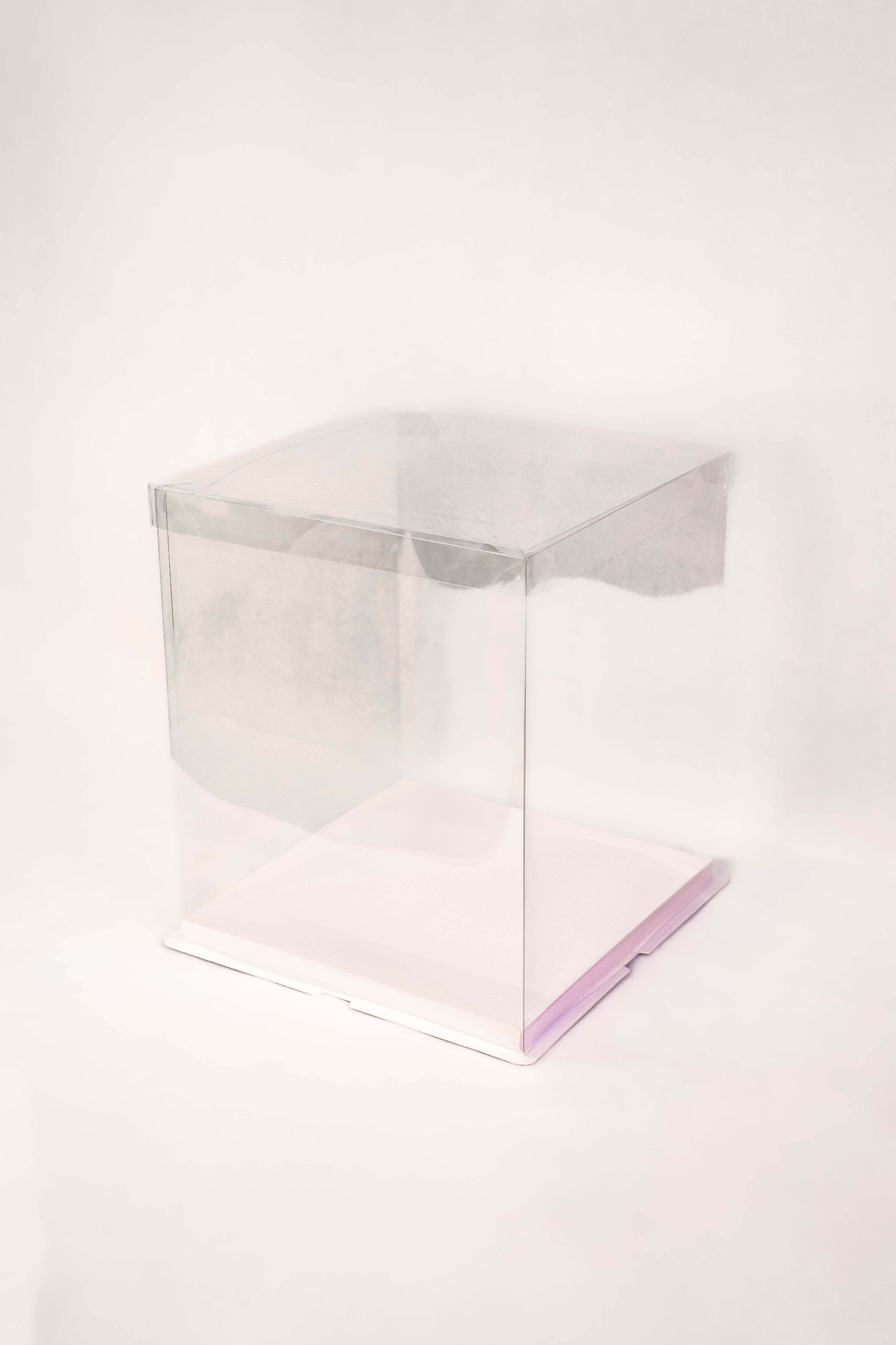 Standard Display Box (Clear)