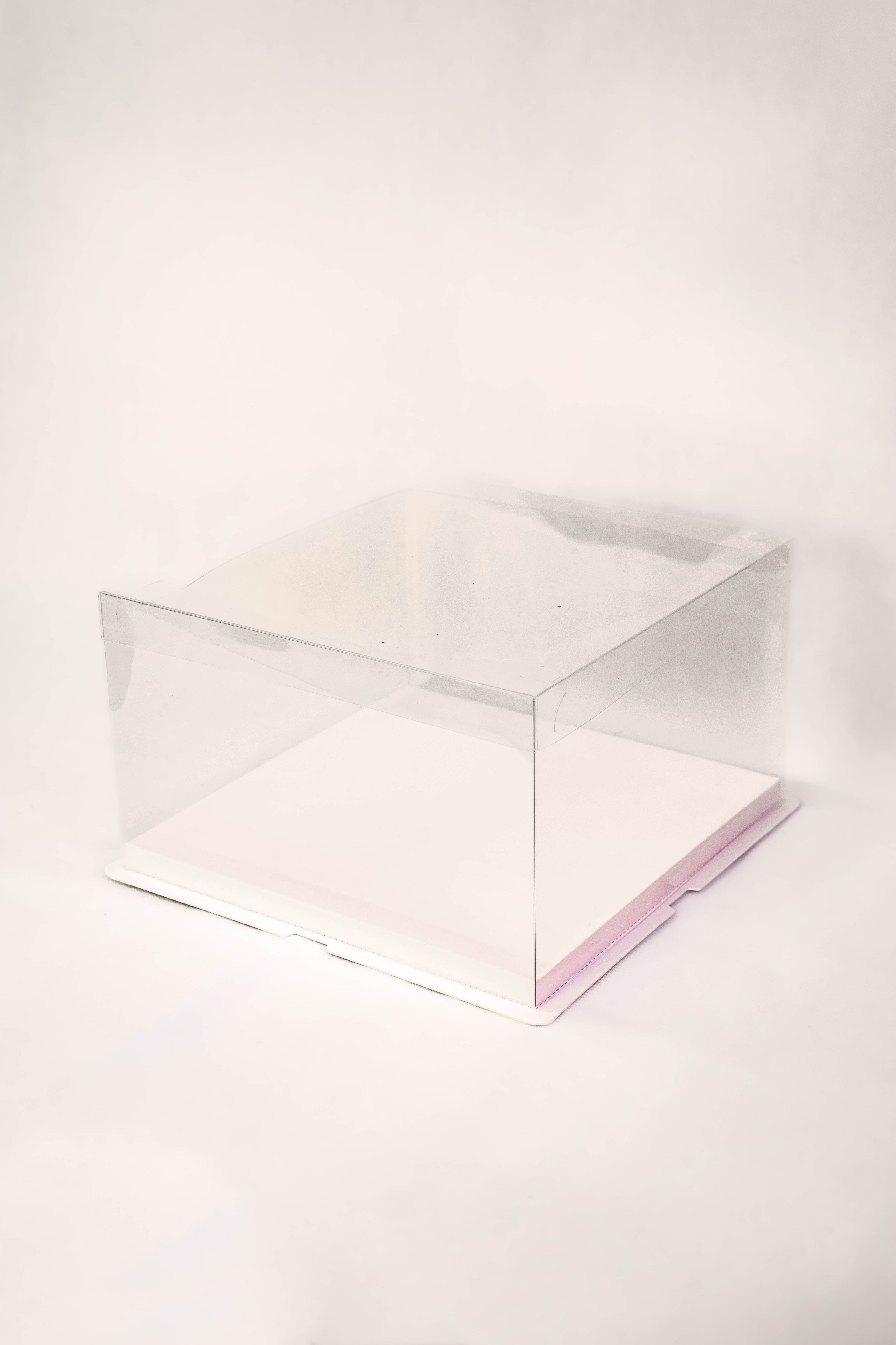 Standard Display Box (Clear)