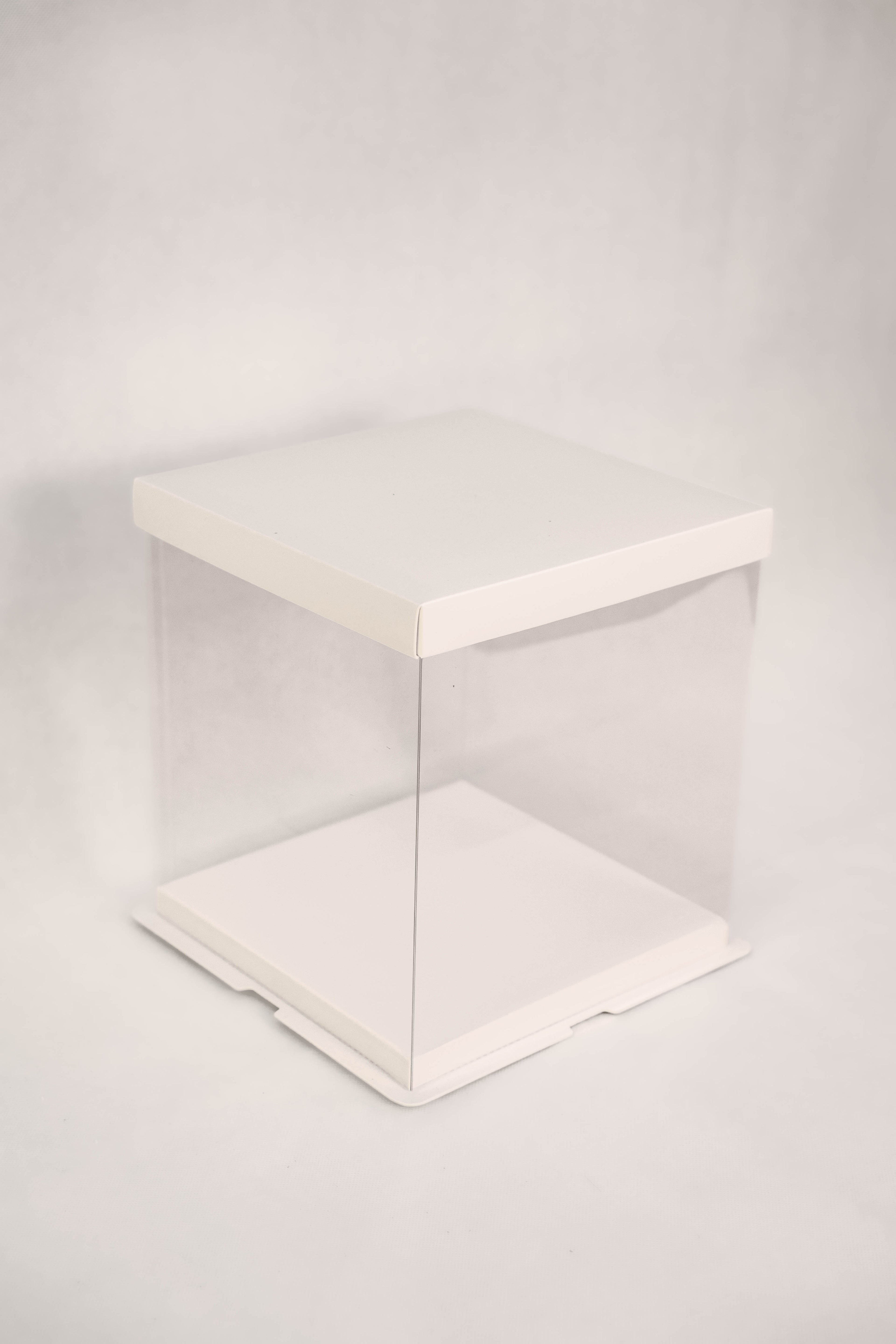 Standard Display Box (White)