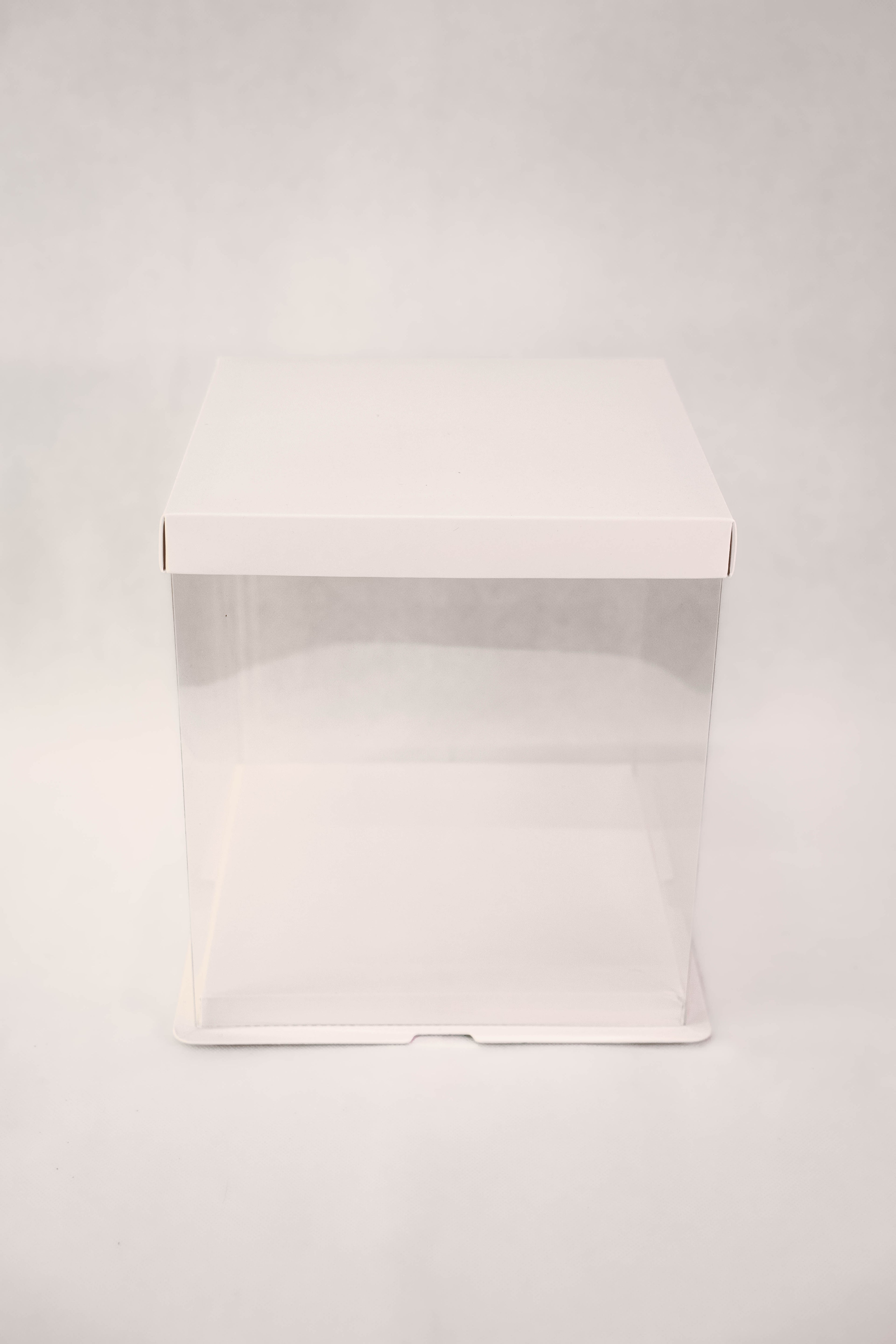 Standard Display Box (White)