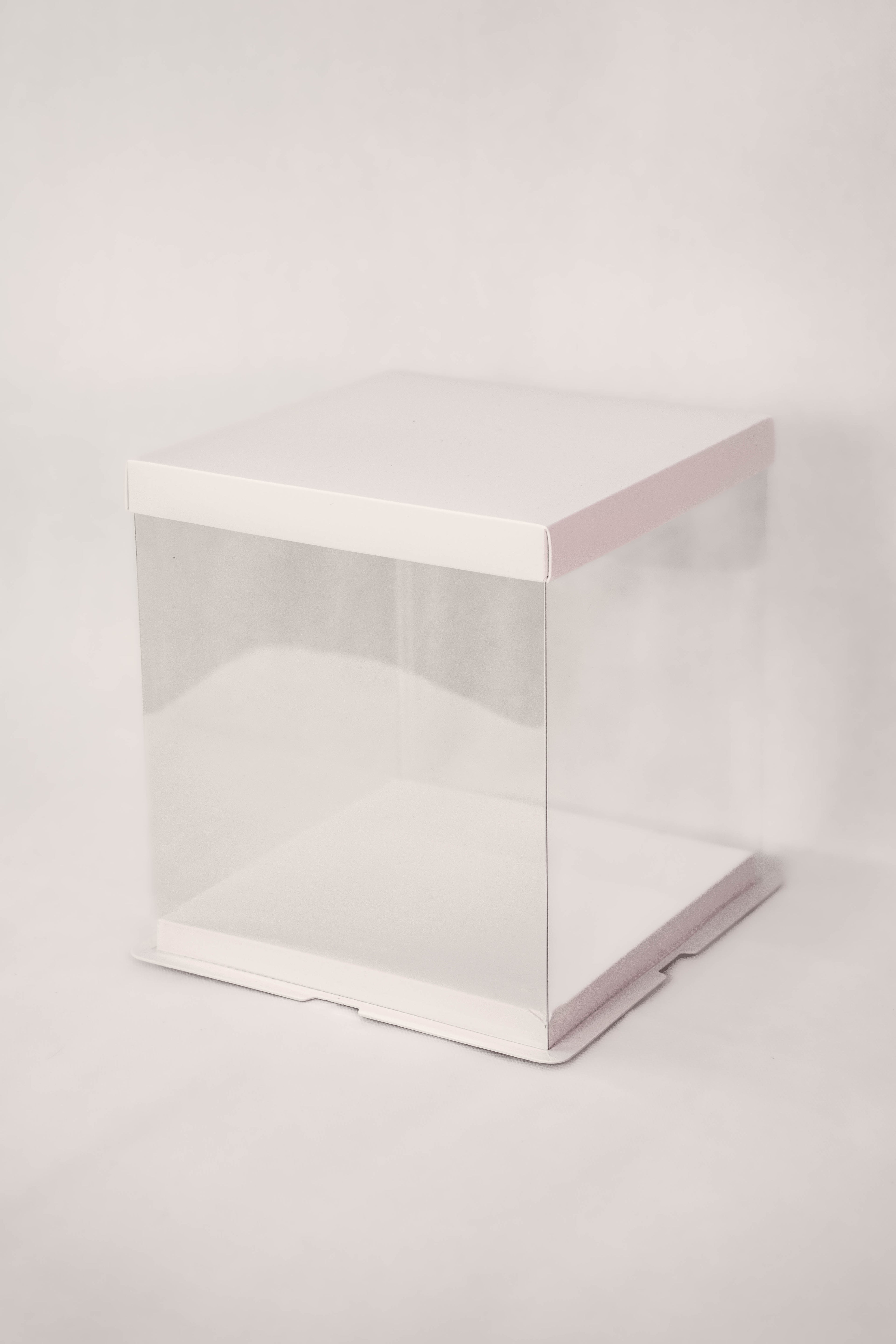 Standard Display Box (White)