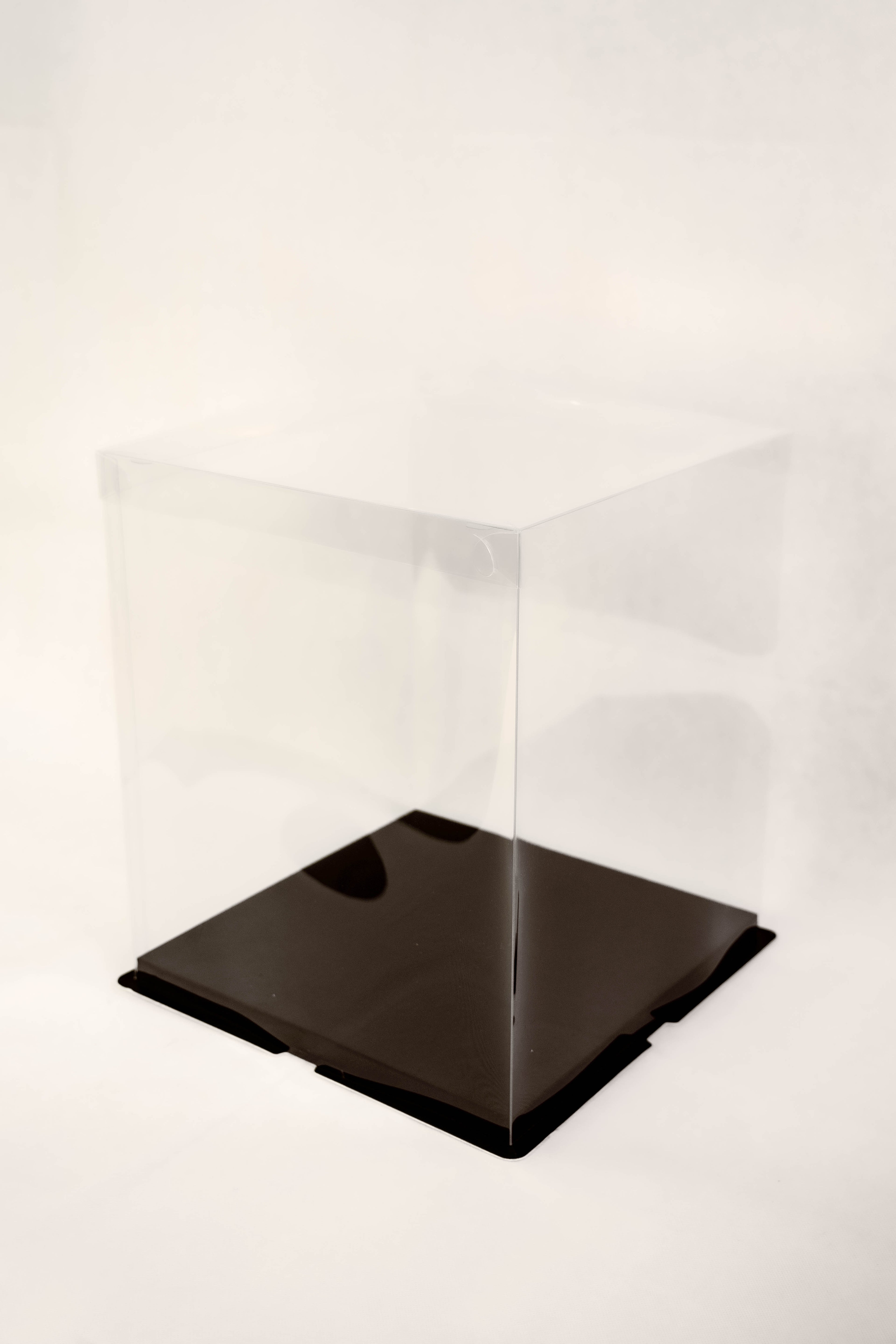 Standard Display Box (Clear)