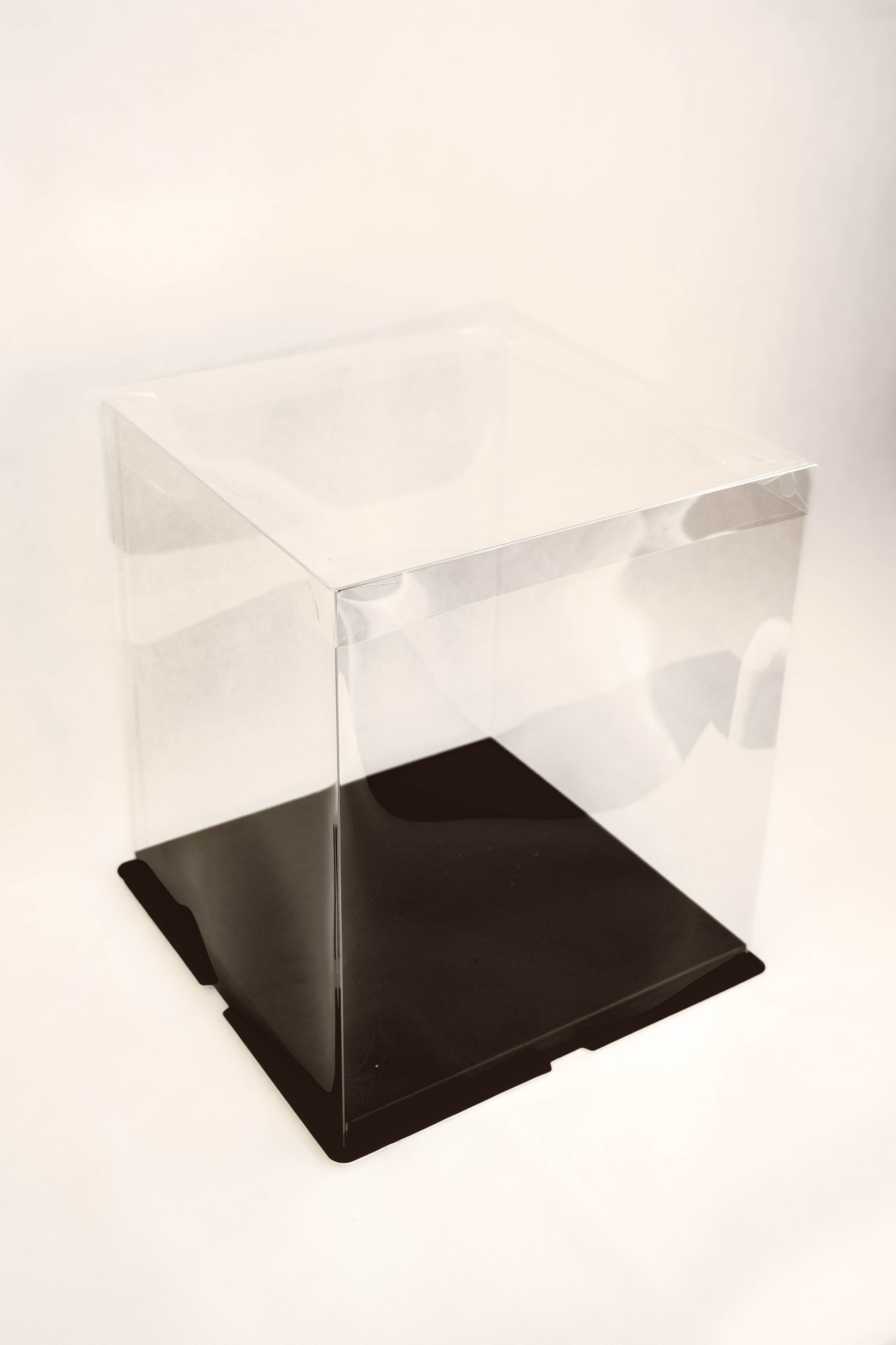 Standard Display Box (Clear)